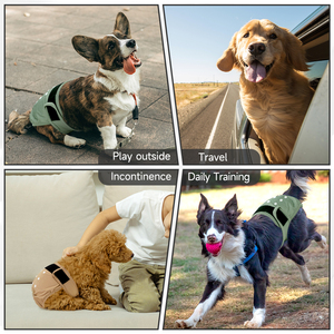 Culotte Physiologique <span class=keywords><strong>Lavable</strong></span> pour Chien - Culotte Sanitaire pour Chienne - Sous-vêtements pour Chiens - Product Image 5