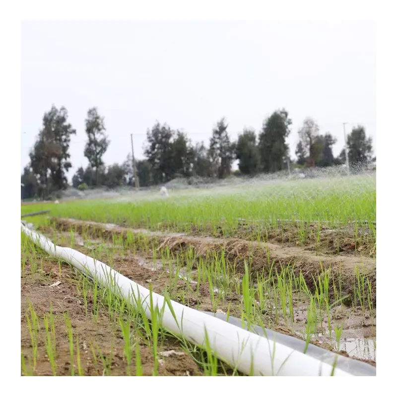 1 1.5 2 3 4 5 6 8 pollici agricoltura Pe Layflat tubo di irrigazione posa tubo piatto giardino tela tubo dell'acqua