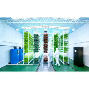 Système de culture en canal NFT en serre, système d'irrigation hydroponique agricole vertical multicouche en tuyaux NFT pour la laitue/les tomates - Product Image 4