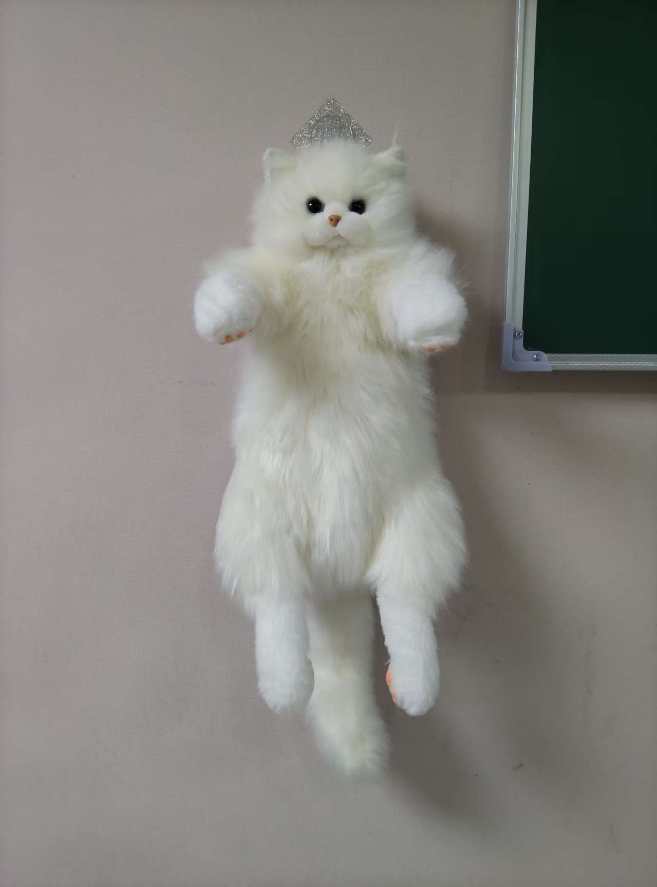 แมวขาว