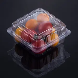 热销多种类型坚固、方便、环保的一次性塑料透明水果容器