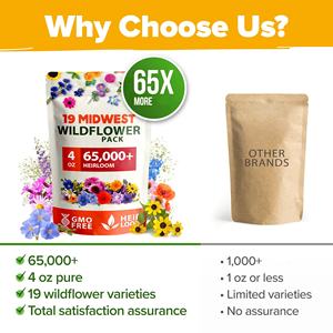 Kit de paquets de mélange de fleurs sauvages d'intérieur facile à cultiver, style campagnard, ensemble de pots, fleurs à taux de germination élevé au sol - Product Image 6