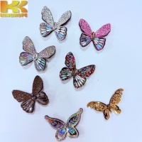 Fleur de chaussure papillon en strass, clip de décoration scintillant en cristal pour sandales et talons hauts pour femmes, détachable, pour mariage et fête