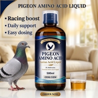 Supplément d'acides aminés pour pigeons avec DL-méthionine 500 ml liquide pour le soutien des muscles et des plumes des pigeons de course en vrac