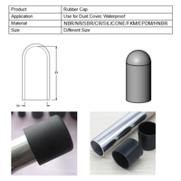 Bouchon/Capuchon en caoutchouc durable et étanche pour la protection, fourni par l'usine
