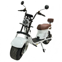 Vélo électrique Harley à moteur haute efficacité 1000W, frein à disque avant et arrière, pneu à vide, vélo électrique pour adultes