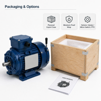 Moteur d'orientation pour éolienne, haute résistance à la corrosion, indice de protection IP55 pour extérieur, faible vibration, 50Hz