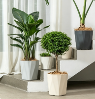Pot de plante géométrique multi-facettes avec soucoupe pour usage intérieur