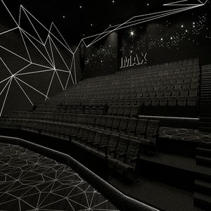 Alfombra de Cine de Alta Calidad Personalizada para Salones de Banquetes, Resistente al Fuego, de Lujo, en Blanco y Negro, de Pared a Pared, de Lana, para Hoteles y Cines - Product Image 5