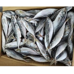 Importateurs de poisson chinchard congelé à queue jaune en Afrique - Product Image 6