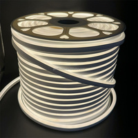 Usine En Gros 220V 110V LED Néon Flex Corde Bande Lumière 50m 100m Rouleau 6x12mm 8x16mm RVB Blanc Utilisation Extérieure