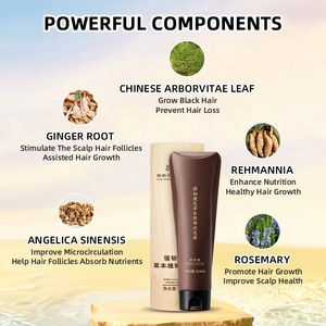 Shampooing fortifiant et anti-chute à base <span class=keywords><strong>de</strong></span> plantes, extrait <span class=keywords><strong>de</strong></span> Thuja et <span class=keywords><strong>de</strong></span> gingembre, réduit la chute des cheveux fins - Product Image 4