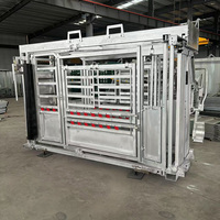 YC Étrier hydraulique pour bétail galvanisé à chaud / Corral de manutention du bétail / Système de manutention du bétail hydraulique portable