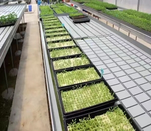 Plateau de semis Microgreen bon marché, matériel de 110g, Design plat avec éponge, graines Microgreen, super ferme - Product Image 6