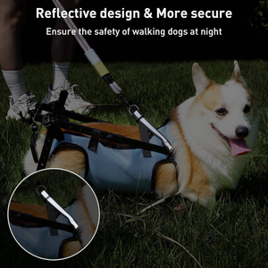 Hot Selling <b>Portable</b> Acrylic Pet <b>Wheelchair</b> for Chickens Hind Limb Paralysis Disabled Rehabilitation Walking Assistance Car - Product Image 4
