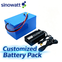 Fournisseur fiable de batteries personnalisées avec BMS Li-ion LiFePO4 pour solutions de batteries industrielles sur mesure 10S1P 7S2P 3S2P 3S10P