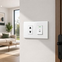 Panneau de prise d'entrée avec logo OEM et emballage export, module double 120 à montage encastré, prise universelle à 2 trous pour importateurs mondiaux