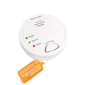 Carbon Monoxide Detector 10 Years Sealed Lithium Battery Co Alarm Carbon Monoxide Alarms