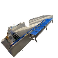 Automatische multifunctionele fruit- en groentesorteermachine met fabrieksaanpassing en hoogprecisie sorteersysteem
