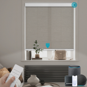 <strong>Long</strong> Life Motorized Roller Window <strong>Blinds</strong> Remote Control Customizable Light Filtering Fabric Roller Shades - Product Image 2