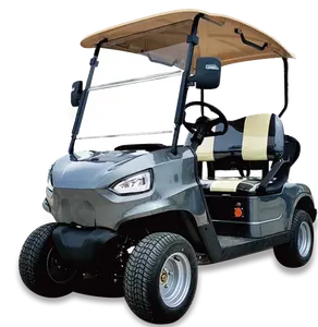 Wholesale 2 Seater Electric Golf Cart 48V Long Range Folded Golf Club Car For Sale