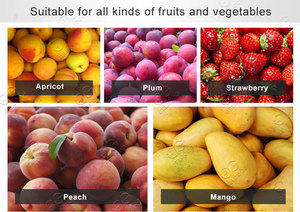 เครื่องผลิตเยื่อกล้วยบด - Product Image 3