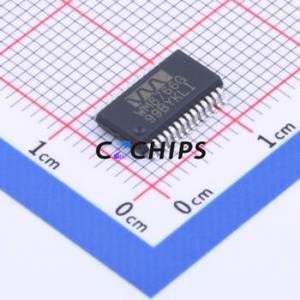 Convertisseur numérique-analogique (DAC) de puce d'IC de circuit intégré SSOP-28 de WM8766GEDS/RV nouveau-original - Product Image 1