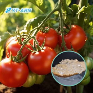 Polímero Superabsorbente Certificado ISO, Hidrogel, Resina SAP en Polvo para <span class=keywords><strong>Agricultura</strong></span> - Product Image 5