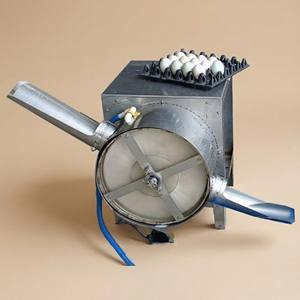 Lavadora Industrial de Huevos de Aves de Corral, 1 Carril, 2000 a 2200 Huevos por Hora, Acero Inoxidable Automática - Product Image 1