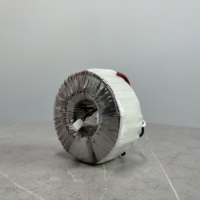Transformador toroidal de 1000W 1000VA 380V o 220V Entrada 12V 24V 36V 48V 110V Salida Control industrial personalizado, gestión de energía