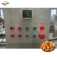 Friteuse industrielle professionnelle en acier inoxydable à gaz externe, à économie d'énergie, pour l'industrie des noix frites et des chips.
