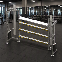 Station de musculation modulaire avec câbles, rangement de plaques de poids, barre de traction et barres de dips pour entraînement fonctionnel de force