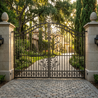 Porte d'entrée principale extérieure de luxe en fer forgé, décorative, avec motifs de portails en fer, pour maison de campagne et jardin