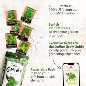 Menthe de haute qualité et sans OGM Cultivez vos propres plantes de menthe <span class=keywords><strong>en</strong></span> direct Grand cadeau pour les jardins, les chefs et les amateurs de thé - Product Image 4