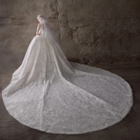 Robe de mariée champagne à épaules dénudées en dentelle, style robe de bal, avec appliques perlées et voile en dentelle florale, taille personnalisée, accepte OEM ODM