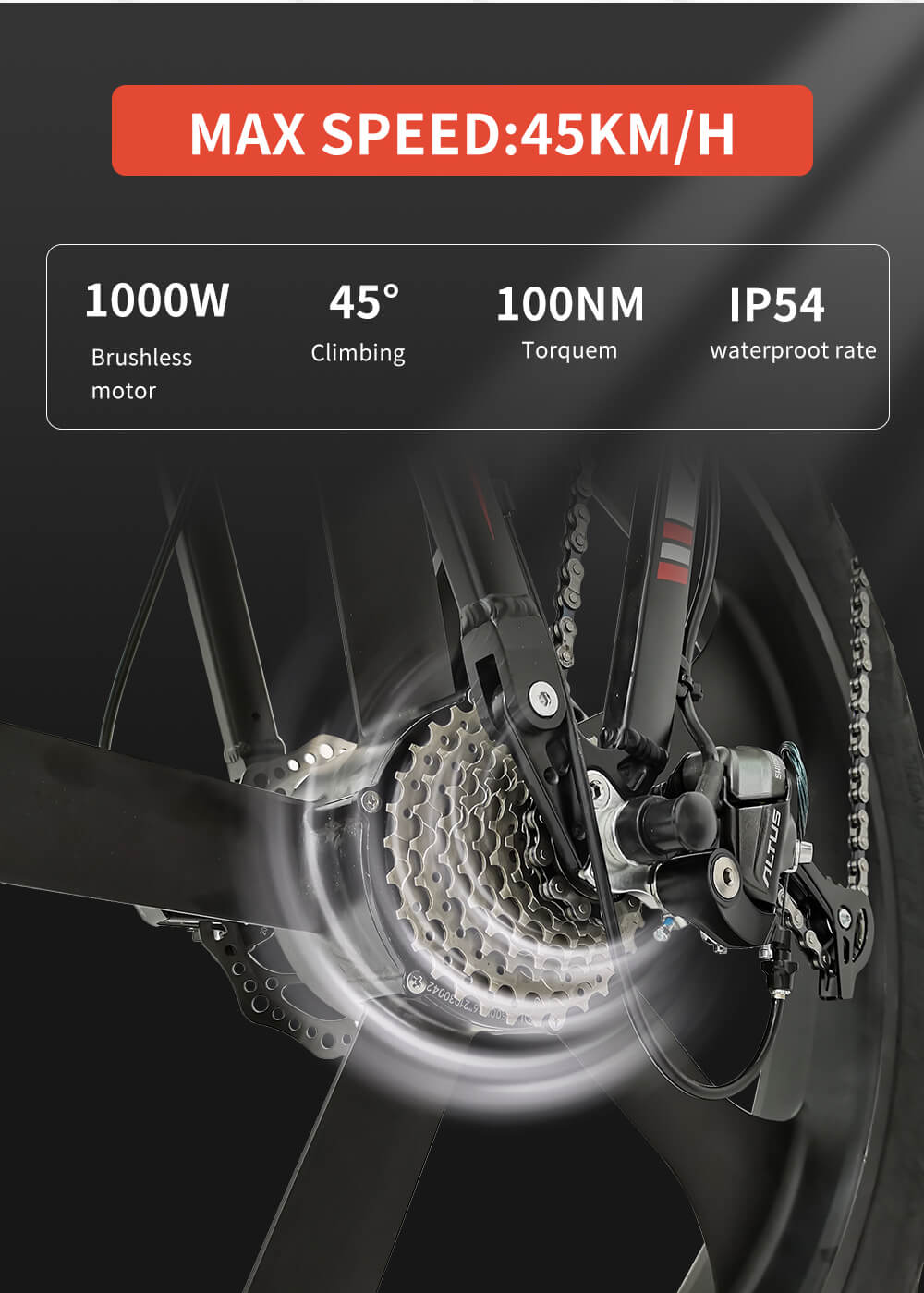 Electric bike 1000W Dailyride LEO Magnesium rims