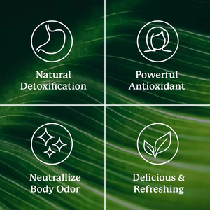 Bozewon 1000mg <span class=keywords><strong>Spiruline</strong></span> Chlorelle Capsules OEM Marque Privée Fournisseur d'Usine Qualité Alimentaire Améliore l'Immunité & l'Énergie pour la Santé Cardiaque - Product Image 3