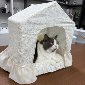 Cama de Alta Calidad Estilo Japonés para Gatos y Perros, Fácil de Montar, de Tela de Algodón Estampada, Plegable, de Plástico - Product Image 1