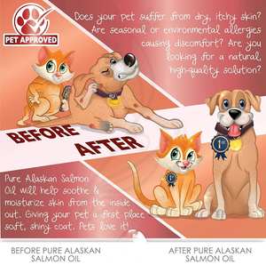 Huile de saumon naturelle pressée à froid riche en oméga 3+6 - Complément alimentaire anti-chute de poils, anti-inflammatoire pour chiens et chats - Product Image 5