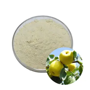 B.C.I Supply Freeze Dried Organic Pyrus Pyrifolia Juice Extract 30:1Spray Dried Pear Fruit Powder Pear Extract