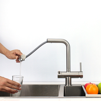 Robinet personnalisable en acier inoxydable AISI 304 sans plomb mitigeur 3 voies filtre de robinet de cuisine extractible 3 en 1 robinet en acier inoxydable