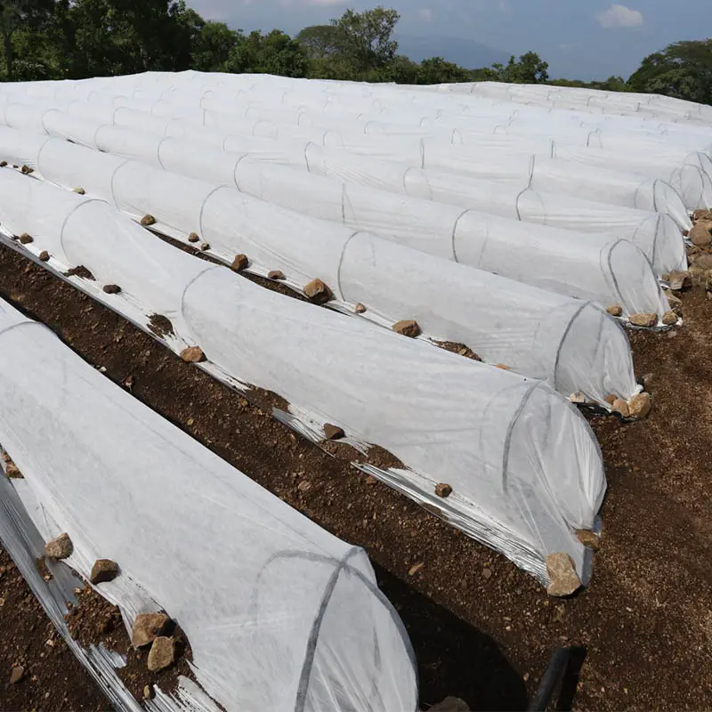 Tampa de linha biodegradável do spunbond da fábrica de guaxdong pp não tecida da produção agrícola tampa flutuante