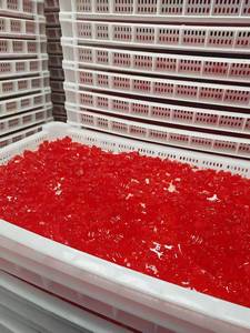 Acelerador del Crecimiento del Cabello con Biotina, Vitaminas <span class=keywords><strong>C</strong></span> y E para un Cabello Más Grueso y Abundante, Reduce las Líneas Finas y las Arrugas - Product Image 6