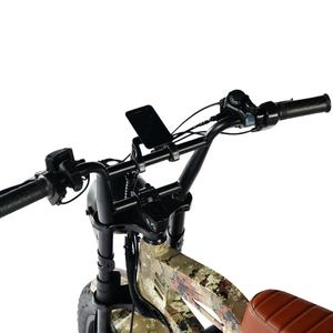 Bicicleta Eléctrica de 20 Pulgadas con Batería de Iones de Litio de 750 W, 48 <span class=keywords><strong>V</strong></span>, 72 <span class=keywords><strong>V</strong></span>, 14 Ah, con Pantalla LED - Product Image 5