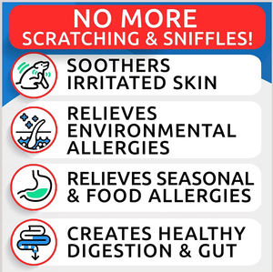 Golosinas Masticables para Alergias en <span class=keywords><strong>Perros</strong></span> OEM/ODM con Omega-3, Reduce la Picazón, el Lamido <span class=keywords><strong>de</strong></span> Patas y <span class=keywords><strong>las</strong></span> Zonas Calientes, Apoya la Inmunidad del Pelaje y Combate <span class=keywords><strong>las</strong></span> <span class=keywords><strong>Pulgas</strong></span> - Product Image 2