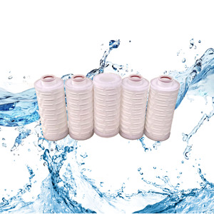 Filtre à cartouche plissé pour filtration liquide, 0,04 à 0,5 micron, filtre à cartouche PES/PTFE pour l'industrie alimentaire et des boissons - Product Image 1