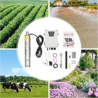 Pompe Immergée Solaire de Puits Profond à Haute Pression pour Irrigation, 2 Pouces