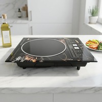 Table de cuisson électrique multifonction 2000W en céramique infrarouge pour tous types de casseroles