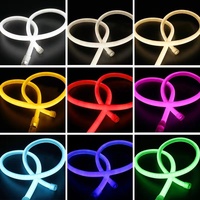 Tube flexible en PVC 360°, bande diffuseur LED néon Anime, 120 LED/m, 2700K blanc chaud, IP65 étanche, LED 2835 CRI95, dimmable