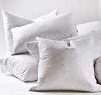 Lit Oreillers en plumes de canard 50x70 cm Ferme Luxe Hôtel Blanc Coton Taie d'oreiller Rembourrage en duvet Hôtel Oreiller pour le sommeil